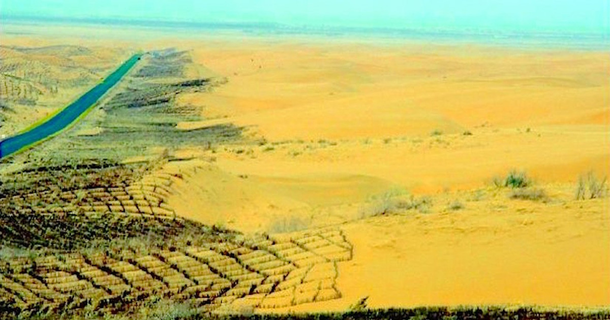 Tembok Hijau Raksasa China Ambisi Gila atau Solusi Bumi?