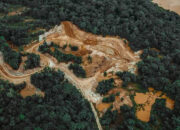 Terungkap Alarm Ekologis Indonesia Banjir Bandang Bukan Biasa