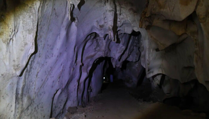 Terungkap! Neanderthal Punya Teknologi Canggih di Gua Ini