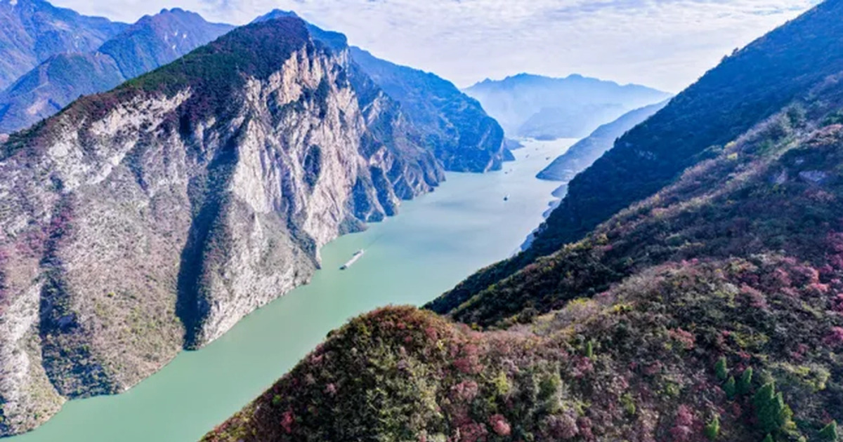 Yangtze Hidup Lagi Kebijakan Berani Ini Ubah Ekosistem