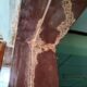 Rayap di Rumah Kenali Bahayanya dan Solusi Tepat dengan Jasa Anti Rayap Profesional