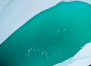 Antartika Menghijau dari Luar Angkasa Bukan Misteri Berbahaya