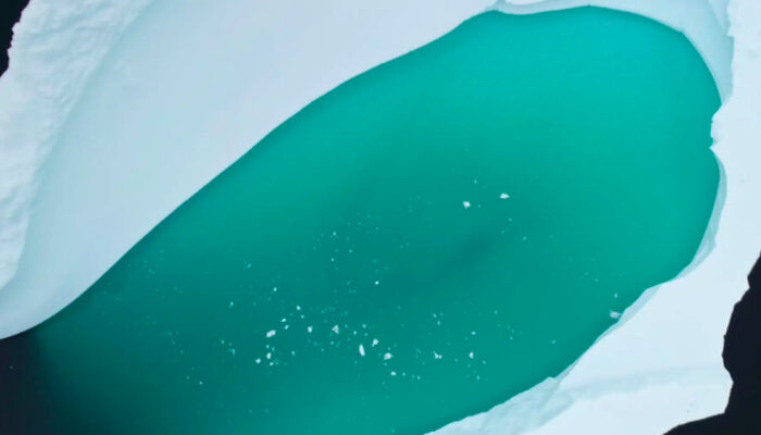 Antartika Menghijau dari Luar Angkasa Bukan Misteri Berbahaya