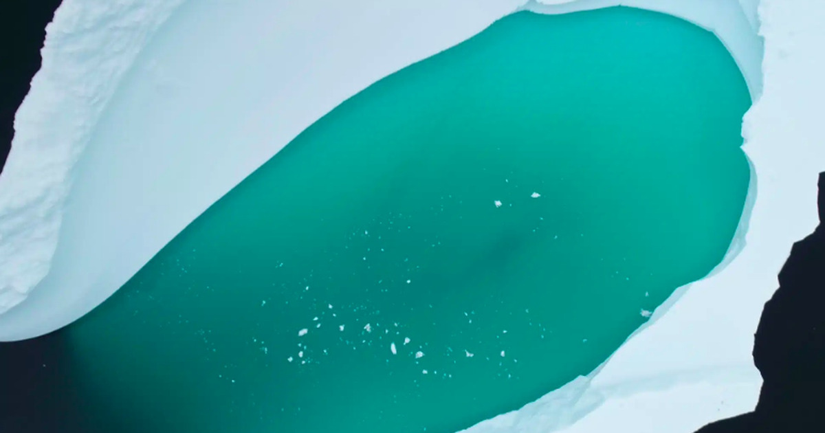 Antartika Menghijau dari Luar Angkasa Bukan Misteri Berbahaya