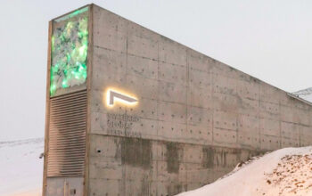 Dunia Siapkan Gudang Kiamat Raksasa di Arktik, Apa Isinya