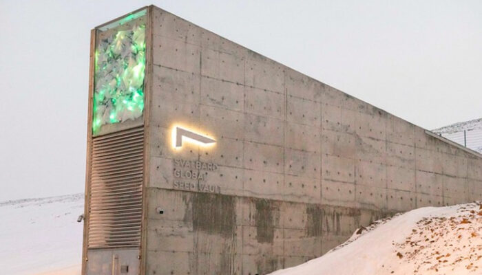 Dunia Siapkan Gudang Kiamat Raksasa di Arktik, Apa Isinya