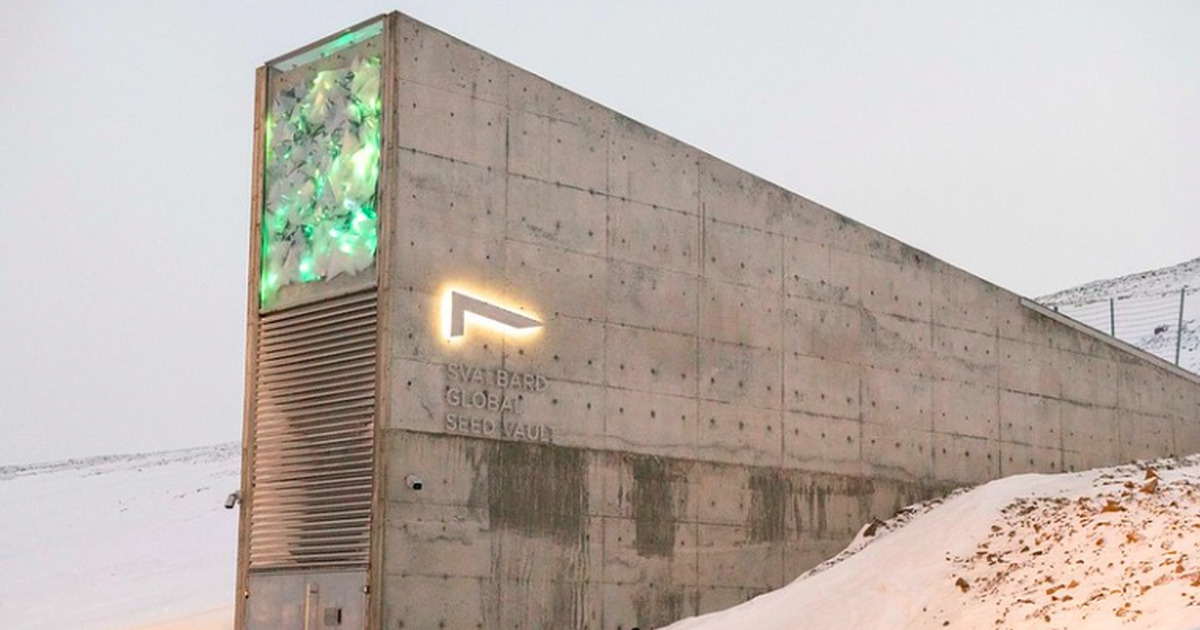 Dunia Siapkan Gudang Kiamat Raksasa di Arktik, Apa Isinya