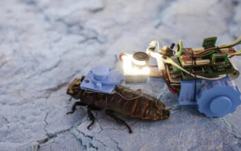 Kecoak Cyborg NTU Siap Jelajahi Pipa Bawah Tanah Singapura