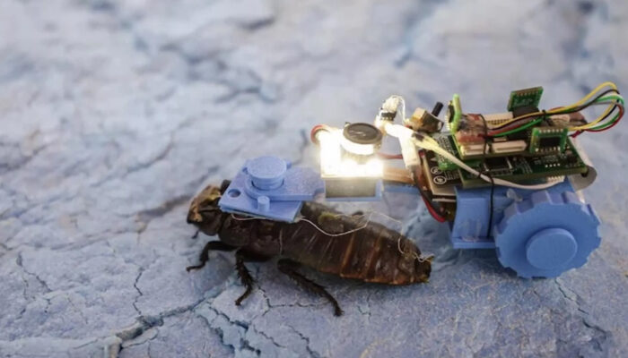 Kecoak Cyborg NTU Siap Jelajahi Pipa Bawah Tanah Singapura