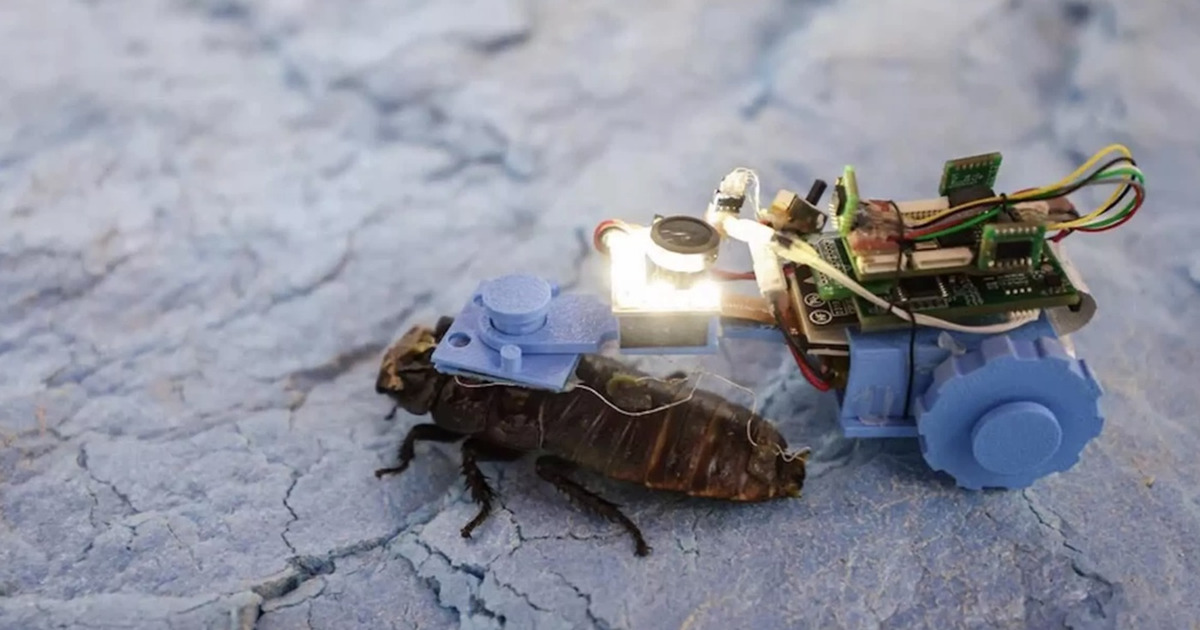 Kecoak Cyborg NTU Siap Jelajahi Pipa Bawah Tanah Singapura