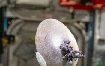 Makhluk Bertentakel Misterius di ISS Bikin Geger Dunia Maya