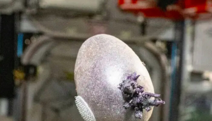 Makhluk Bertentakel Misterius di ISS Bikin Geger Dunia Maya