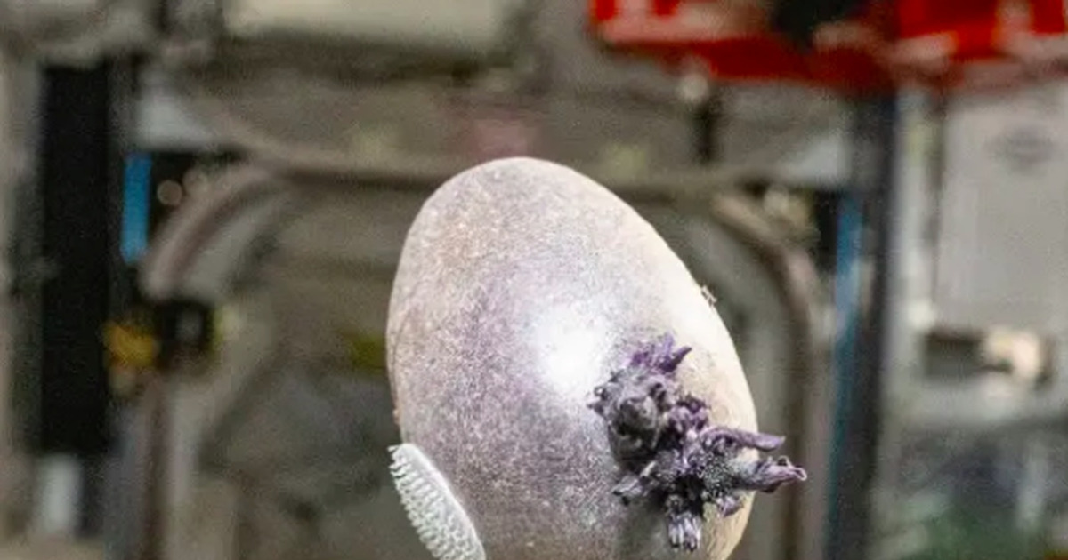 Makhluk Bertentakel Misterius di ISS Bikin Geger Dunia Maya