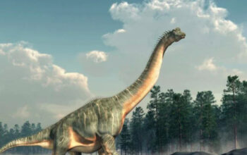 Misteri Jejak Dinosaurus Berputar di Colorado Terkuak