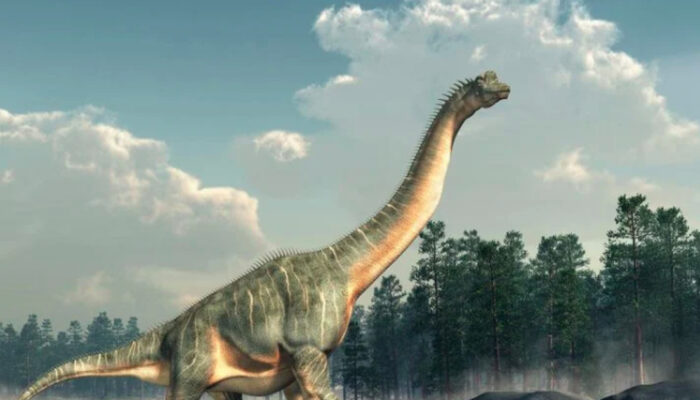 Misteri Jejak Dinosaurus Berputar di Colorado Terkuak