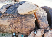 Penemuan Mengguncang Sejarah di Gurun Arab Saudi