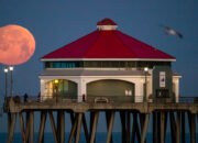 Pink Moon Hadir Awal April Benarkah Bulan Berubah Warna