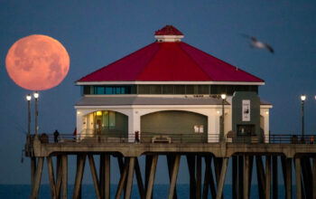 Pink Moon Hadir Awal April Benarkah Bulan Berubah Warna