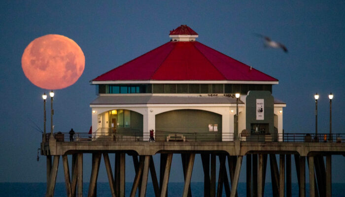 Pink Moon Hadir Awal April Benarkah Bulan Berubah Warna