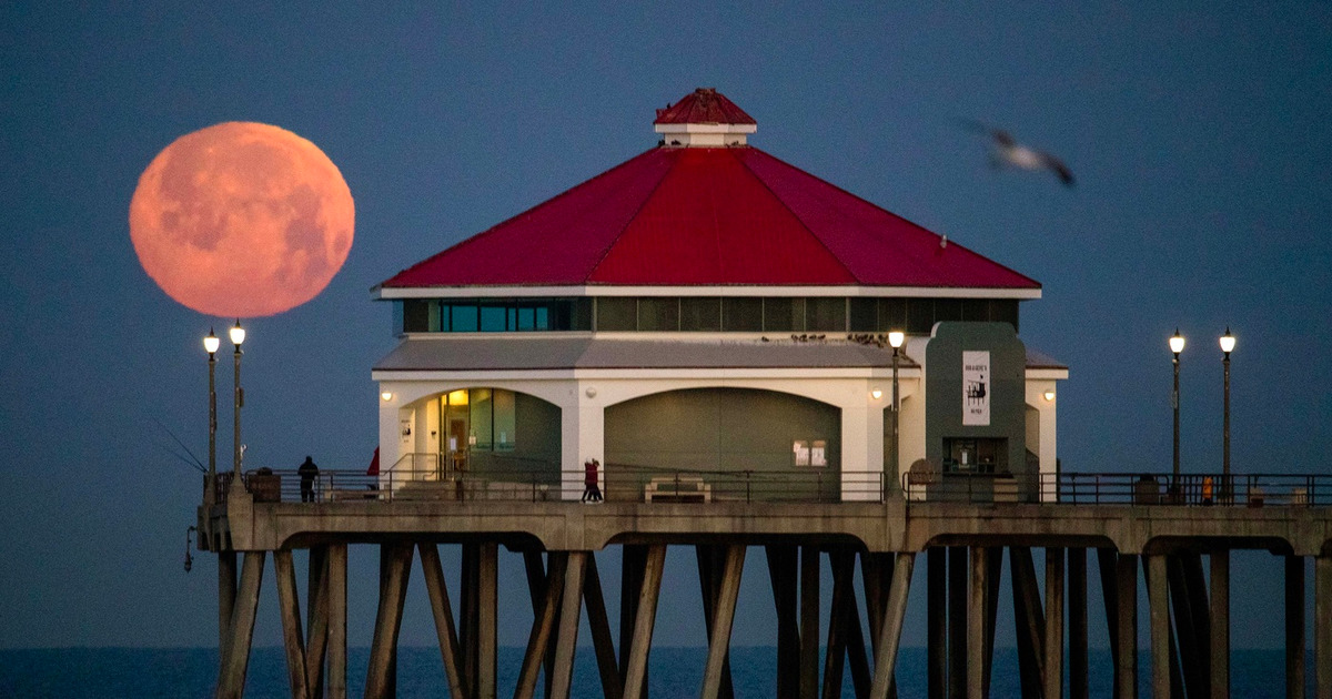 Pink Moon Hadir Awal April Benarkah Bulan Berubah Warna
