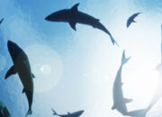 Predator Purba 325 Juta Tahun Ditemukan Kembali di Gua Misterius