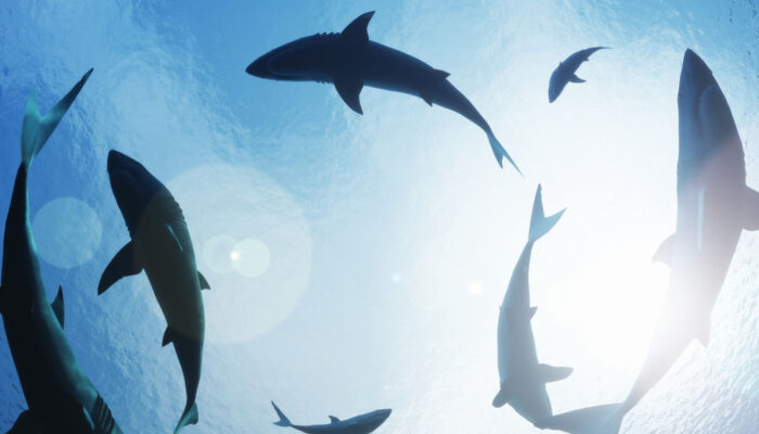 Predator Purba 325 Juta Tahun Ditemukan Kembali di Gua Misterius