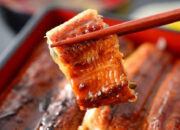 Raditya Dika Unagi Viral Ternyata Sidat dan Belut Jelas Beda