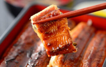 Raditya Dika Unagi Viral Ternyata Sidat dan Belut Jelas Beda