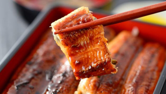 Raditya Dika Unagi Viral Ternyata Sidat dan Belut Jelas Beda