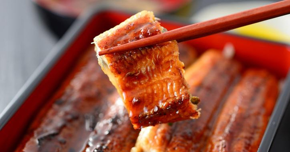 Raditya Dika Unagi Viral Ternyata Sidat dan Belut Jelas Beda