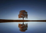 Rahasia Lailatul Qadar Sains Ungkap Fakta Mengejutkan!