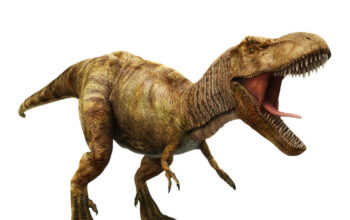 Rahasia Pertumbuhan T-Rex Terungkap Butuh 40 Tahun