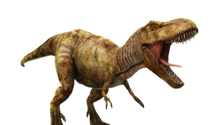 Rahasia Pertumbuhan T-Rex Terungkap Butuh 40 Tahun