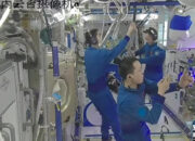 Rahasia Tomat Segar di Luar Angkasa Astronaut China Ungkap