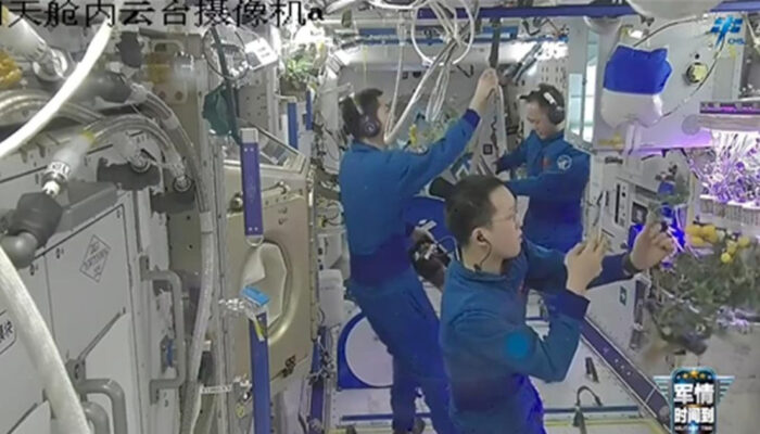 Rahasia Tomat Segar di Luar Angkasa Astronaut China Ungkap