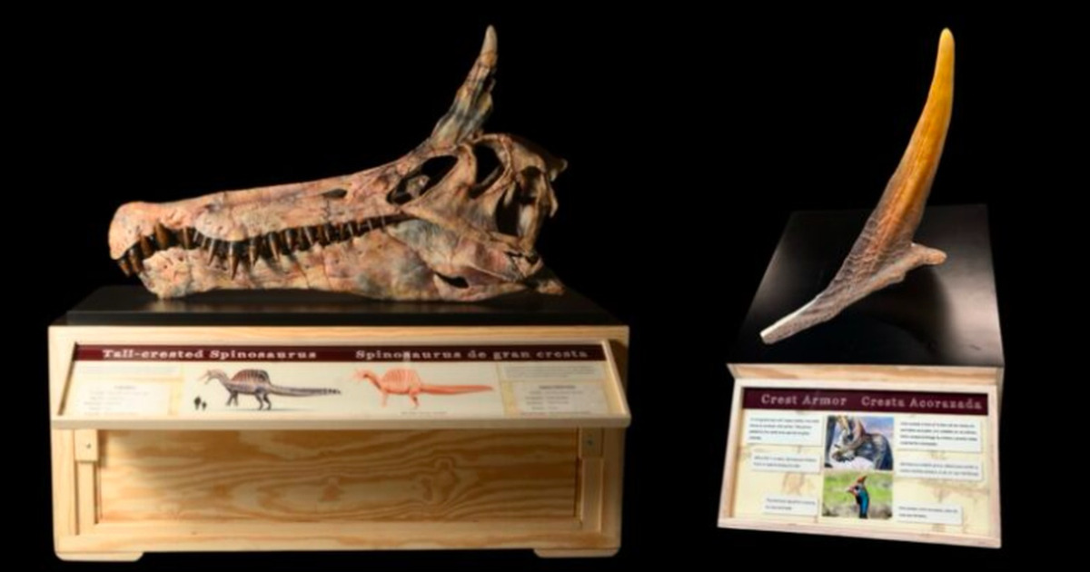 Spinosaurus Mirabilis Dinosaurus Bercula Unicorn Sahara