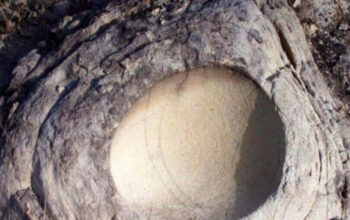 Terkuak Misteri Telur Dinosaurus Berisi Telur Lain