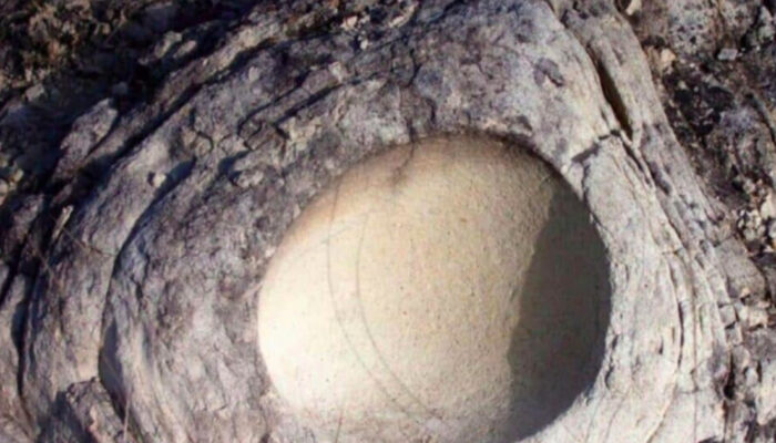 Terkuak Misteri Telur Dinosaurus Berisi Telur Lain