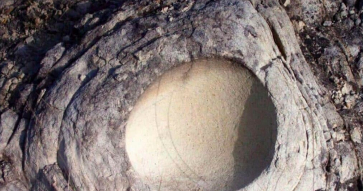 Terkuak Misteri Telur Dinosaurus Berisi Telur Lain