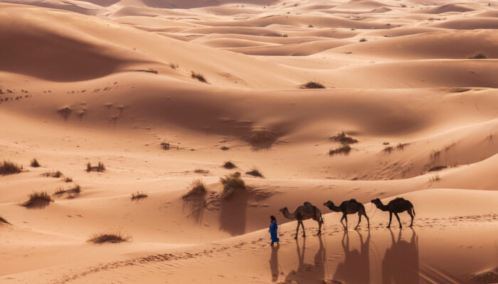Terkuak Sahara Pernah Hijau Subur Ribuan Tahun Lalu