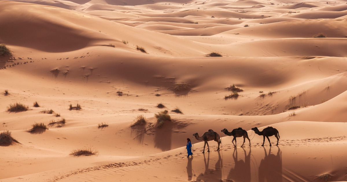 Terkuak Sahara Pernah Hijau Subur Ribuan Tahun Lalu