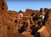 Terungkap Kota Semut Raksasa Seluas Futsal Bikin Geger Dunia