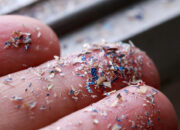 Terungkap Mikroplastik Capai Kedalaman 2,4 KM Laut RI