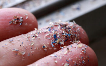 Terungkap Mikroplastik Capai Kedalaman 2,4 KM Laut RI