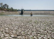Waspada El Nino Godzilla 2026 Kemarau Ekstrem Mengintai RI