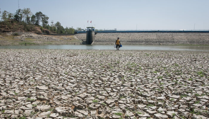 Waspada El Nino Godzilla 2026 Kemarau Ekstrem Mengintai RI