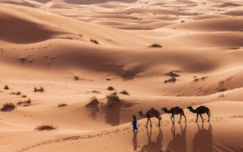 Arab Saudi Bangun Danau Rp80 Triliun Ubah Gurun Jadi Surga