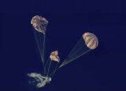 Artemis II Akhiri Misi Epik Astronaut Pulang Disambut Haru