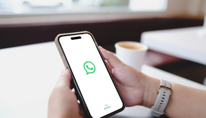 Awas iPhone Terancam WhatsApp Palsu Spyware Mengintai
