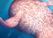 Gurita Raksasa 19 Meter Predator Laut Zaman Dinosaurus Nyata